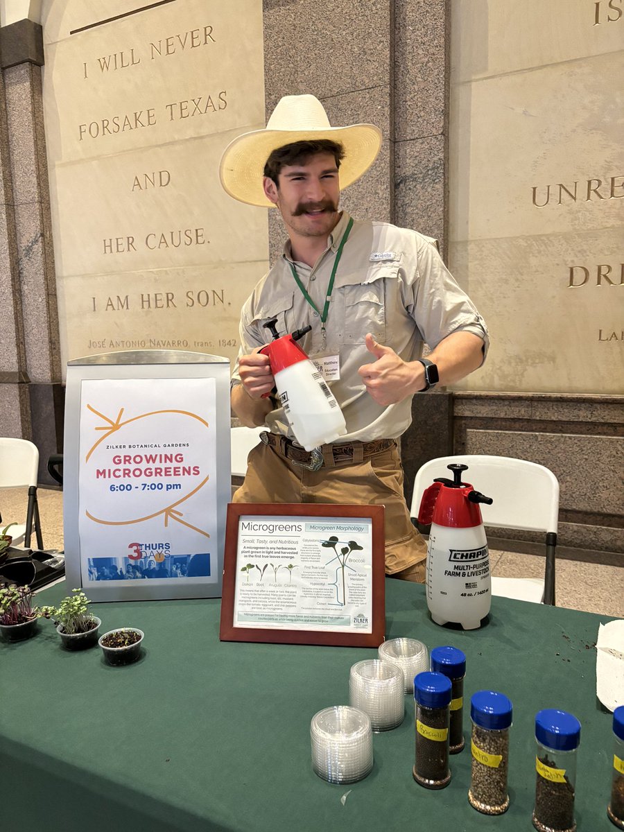 Representing Zilker Botanical Garden at the Bullock Texas State History Museum growing some microgreens!