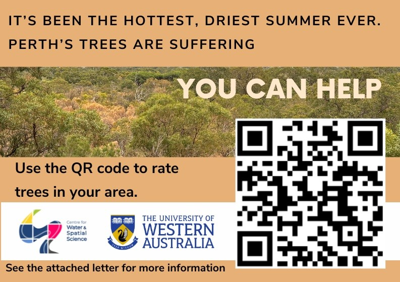 Please help us understand the health of Perth's trees. Remote sensing tools are being used, but community help is needed to ground truth the findings. Ways get involved: 🌳Visit local parks 🌳Record tree health (% canopy healthy/bare/dead) 🌳Submit ➡️ tree-death-perth.uc.r.appspot.com