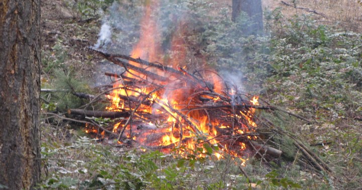 Campfires OK for long weekend, but Category 2 fires banned in Okanagan dlvr.it/T70J2K