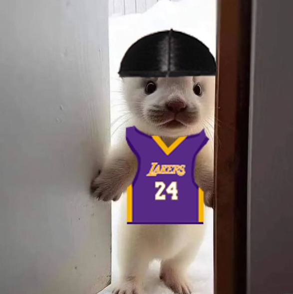 lucy dont give up
she is relentless