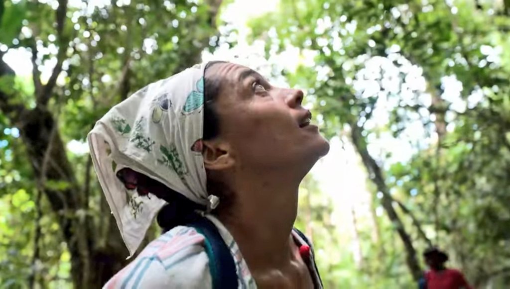 Historia que enamora

La bióloga Andrea Barrera de <a href="/ABCcolombia/">ABC COLOMBIA</a>, transformó la conservación del mico araña, en el ángel protector de todo un ecosistema entre Boyacá y Casanare. 

Vea el reportaje en la televisión alemana <a href="/dw_espanol/">DW Español</a> 
⬇️
youtu.be/foi5h-9b8bQ

#UnaCasaParaZambo