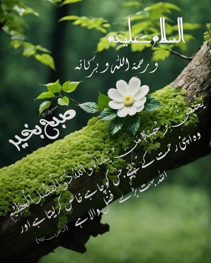 🍀🍁🍀 ﷽ 🌿🍁🌿 السلام علیکُم ورحمتہ اللّٰہ وبرکاتہ 🍂🥀صبح بخیر زندگی 🥀🍂 'بیشک اللہ انصاف کا، احسان کا، اور رشتہ داروں کو (اُنکے حقوق) دینے کا حکم دیتا ہے، اور بے حیائی، بدی اور ظلم سے روکتا ہے، وہ تمہیں نصیحت کرتا ہے تاکہ تم نصیحت قبول کرو.'