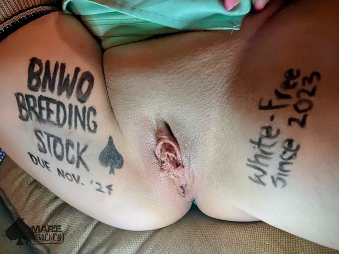 Marie Green, Xoxo ❄️🐰 - 2 pic. BNWO Breeding Stock Due Nov, 2024. White-free since 2023. ✊🏿🤰🏼♠️ https://t.co/kNfDqcdnnk