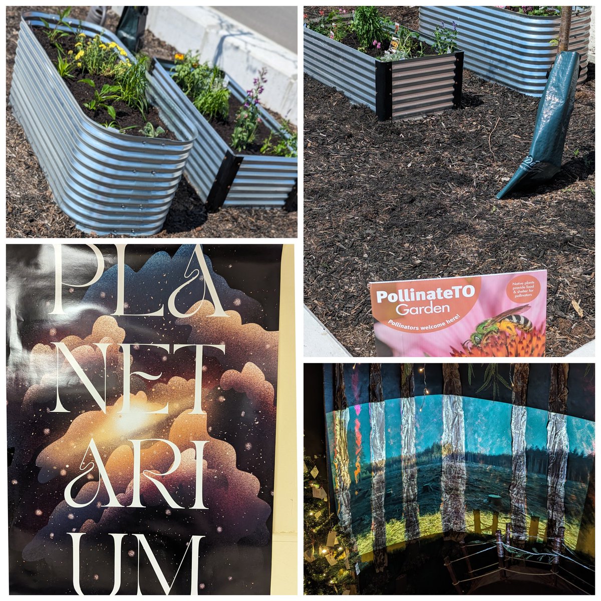 Chris Sands (@ccsands14) on Twitter photo I don't know if there's another STEM+ program doing it like <a href="/TheHill_WHCI/">West Hill C.I.</a>.
Year-long STEM+ projects across disciplines, recruiting various <a href="/tdsb/">Toronto District School Board</a> departments and educational partners, culminating in our community event, The Gardens of West Hill...1/2 I don't know if there's another STEM+ program doing it like <a href="/TheHill_WHCI/">West Hill C.I.</a>.
Year-long STEM+ projects across disciplines, recruiting various <a href="/tdsb/">Toronto District School Board</a> departments and educational partners, culminating in our community event, The Gardens of West Hill...1/2