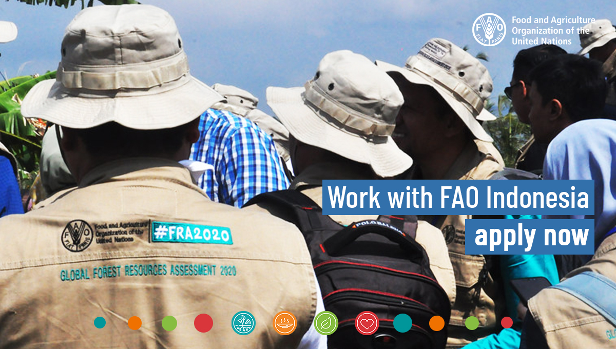 🔴#JobAlert! Exciting opportunities to join @FAOIndonesia team: National Expert on Disease Traceability, bit.ly/3wFbnqw 🗓️Deadline 28 May 2024 Don't miss your chance! #ApplyNow @FAOJobs @UNjobs #UNjobs