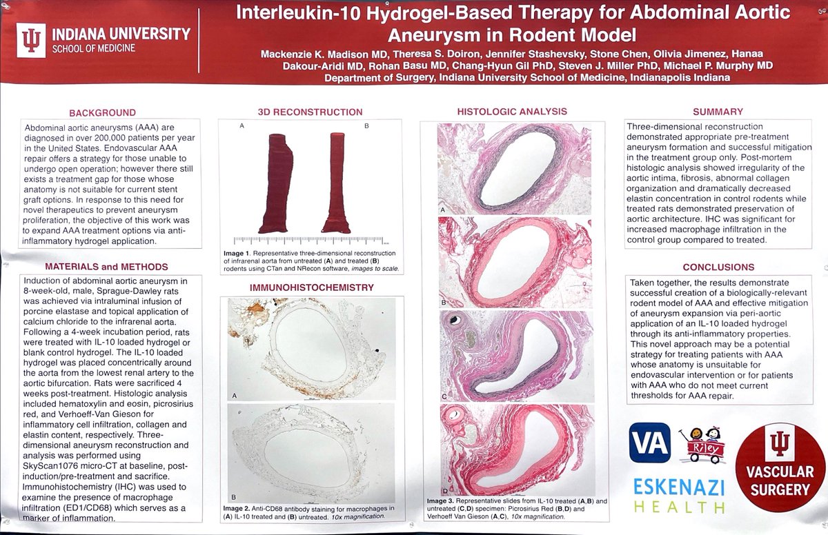 Representing #MurphyLab at @American_Heart Vascular Discovery @iu_vascular @IU_Surgery 🩸