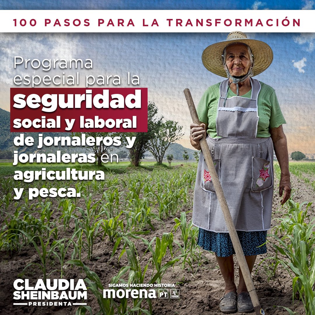 Vamos a darle seguridad social a las jornaleras y jornaleros agrícolas.