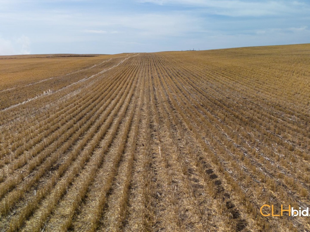 *ADD IMMEDIATE VALUE* CASH CROP FOR SALE!
farmmarketer.com/listing/fm/180…

Farm Type: Cash crop
Acreage (Total): 317 
Province: Alberta
Agent: Roy Carter

#Findyourdreamproperty #farmmarketer #hayland #farmland #cashcrop #cropland #wheat #corn #soybean #canola #sunflower #oats