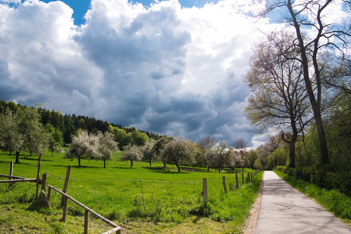 A #storm is gathering in the Odenwald in #spring.
#Photography #Germany #nature #hiking