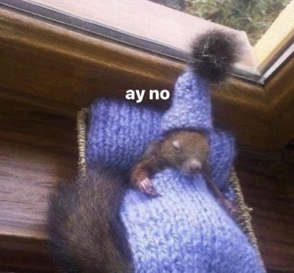 yo cuando me suena la alarma por las mañanas