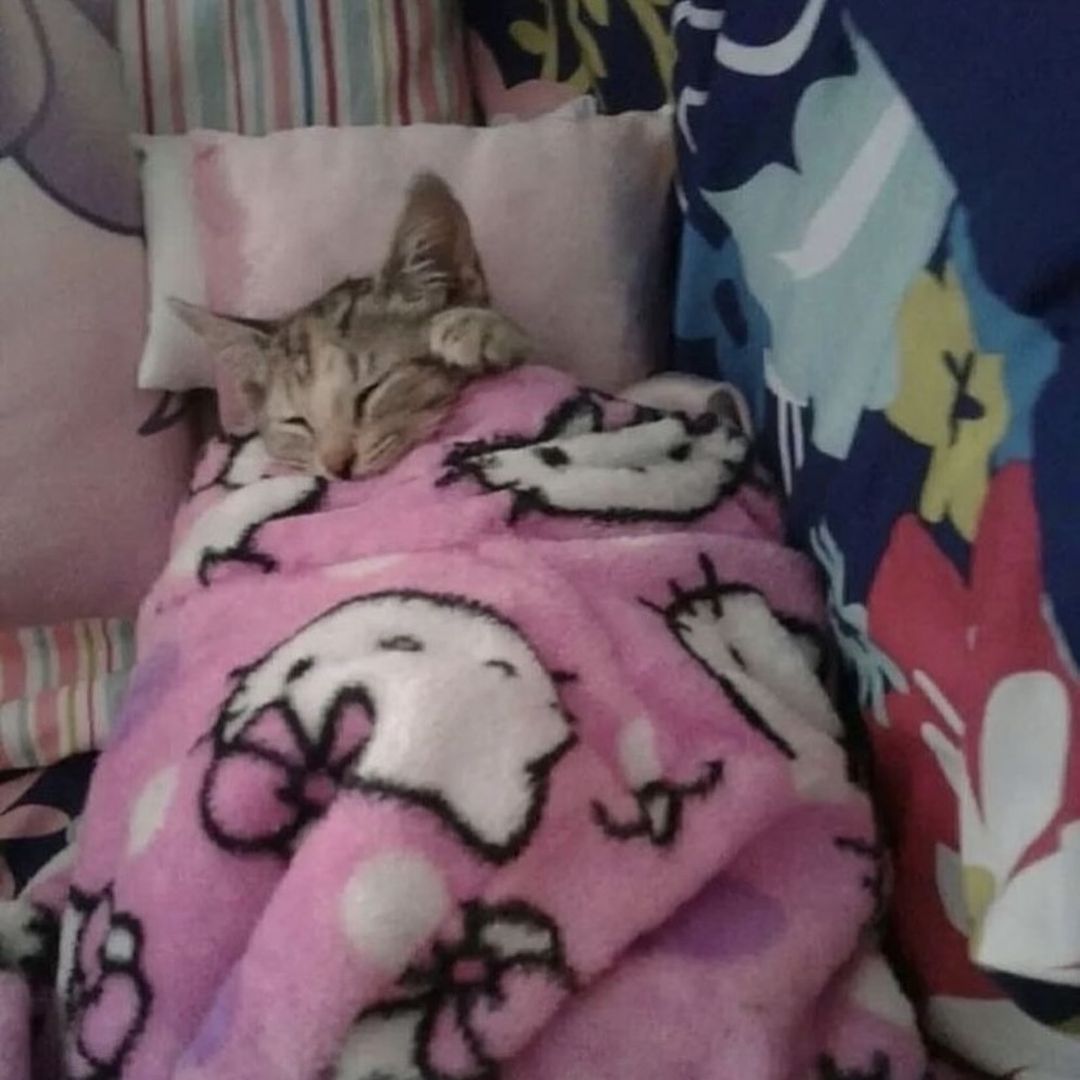 einen guten meine minecraft freund
ich wünsche euch allen einen guten schlaf aber eine noch besseren freitag
hoffentlich habt ihr einen wunderschönen tag denn ihr alle seid wunderschön
lg
smile