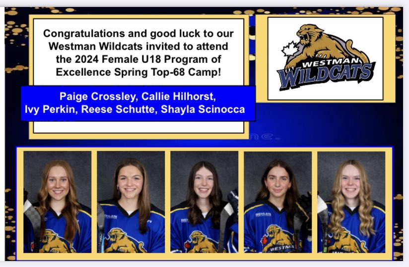 Westman Wildcats (@westmanAAA) on Twitter photo 2024-05-17 02:15:40