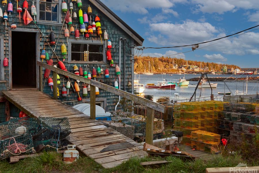 photographed in maine at a harbor. Click link for info and pricing 
buff.ly/4boFelC 
 #Maine #harbor #fishinglife #naturelovers  #Buyintoart #interiordecor #homedecor #homedecoration #interiordesigninspiration #homedecorating