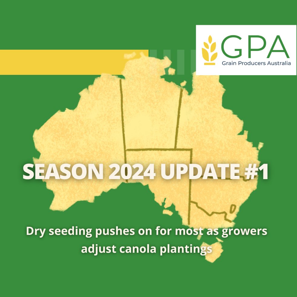 Dry seeding pushes on for most as growers adjust canola plantings GPA 2024 Season Update #1 Read more from GPA reps around the county -> tinyurl.com/ycxvurm3 @AgForceQLD @NSWFarmers @WAGrainsGroup @WAFarmers @WAFarmersGrains @TasFarmers_ @VicFarmers @GrainProducerSA #ausag