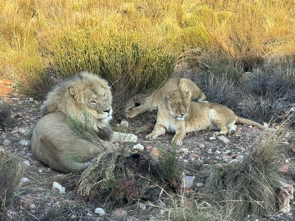 FabLabBU's tweet image. Adventures with first Cape Town guest!