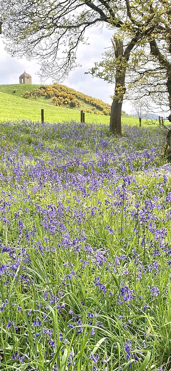 Wishing you a fabulous Friday from North Yorkshire 😊