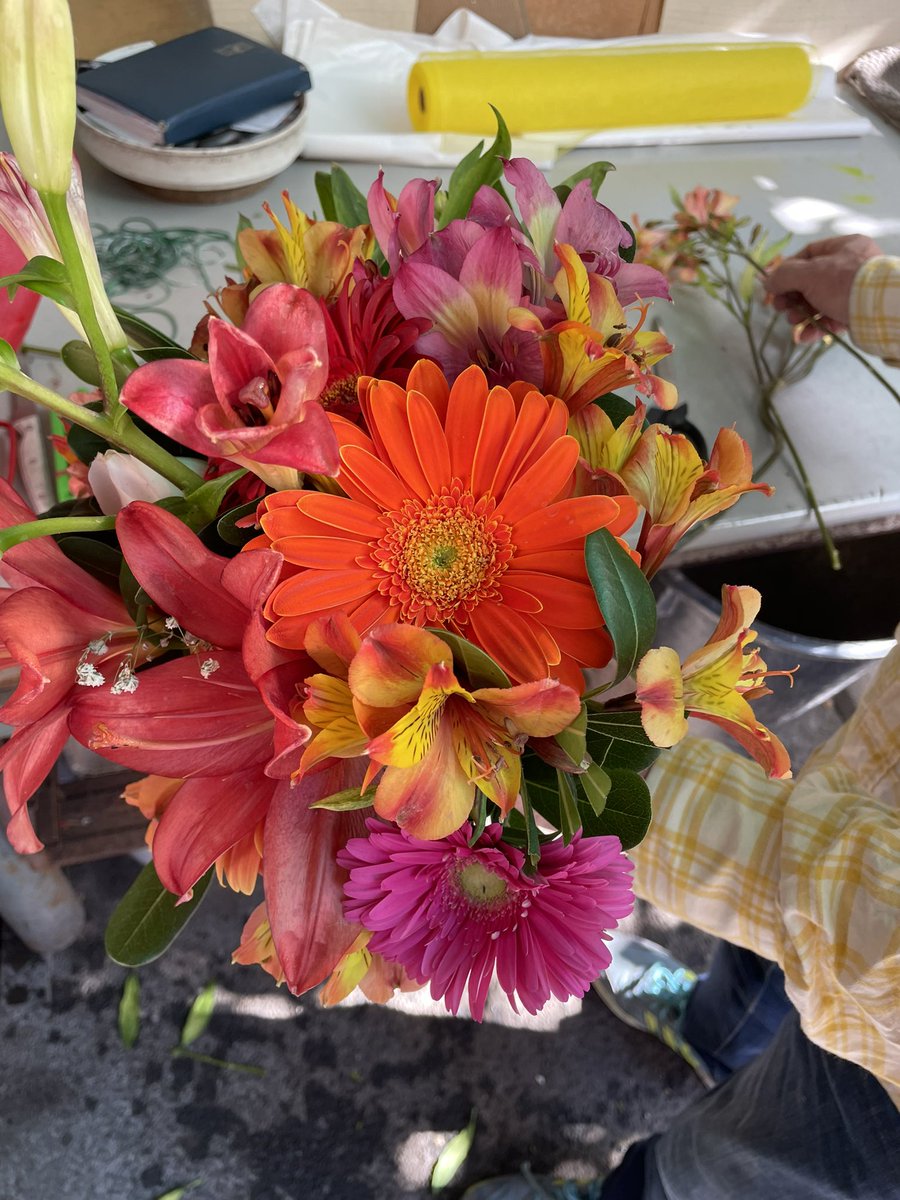 oggi compleanno della amica del cuore di fede ( che mi ha invitato e sono felicissima perché io LA AMO) e le ho preso tanti fiori colorati 💘🧚🏻‍♀️⭐️