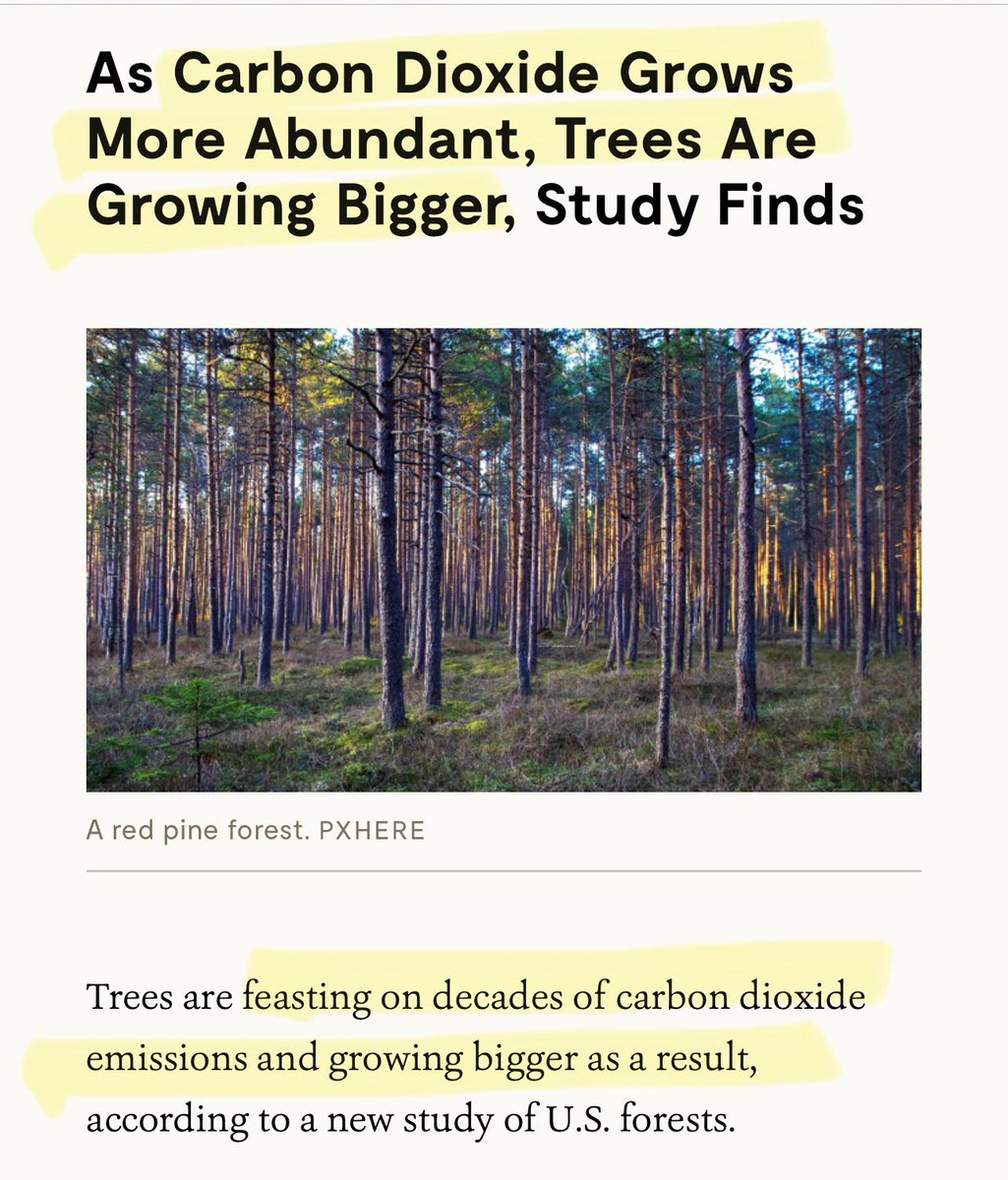CO2 - Oops narrative fail. A study by Yale University has concluded that Trees are feasting on decades of carbon dioxide emissions and growing bigger as a result, due to, phenomenon known as “carbon fertilization.” Awkward for the climate grifters 🤡