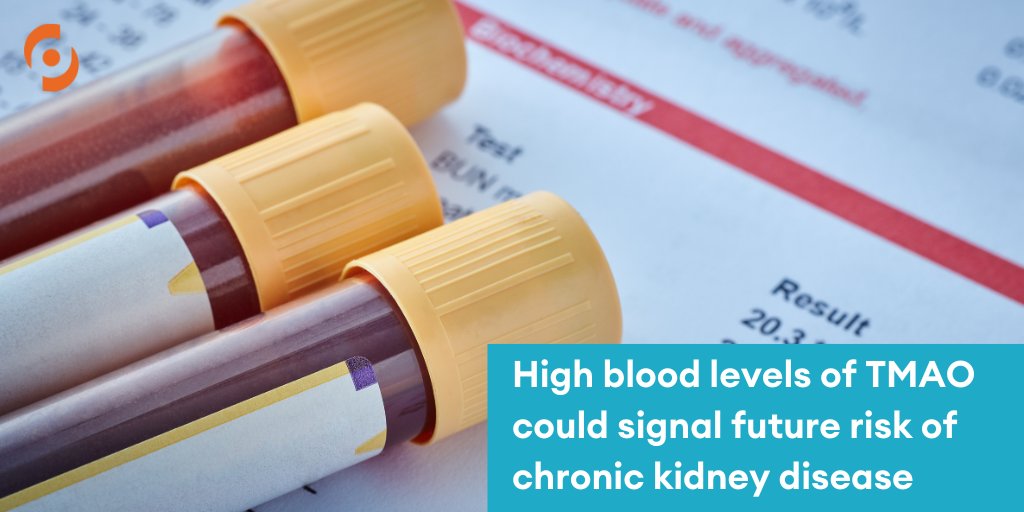 High TMAO, a metabolite produced by gut bacteria, may indicate future CKD risk suggests a study from Cleveland Clinic & Tufts University, published in the Journal of the American Society of Nephrology. Read more: bit.ly/3Uoqzju  #Diaverum #MedicalInsight #CKDStudy #M42