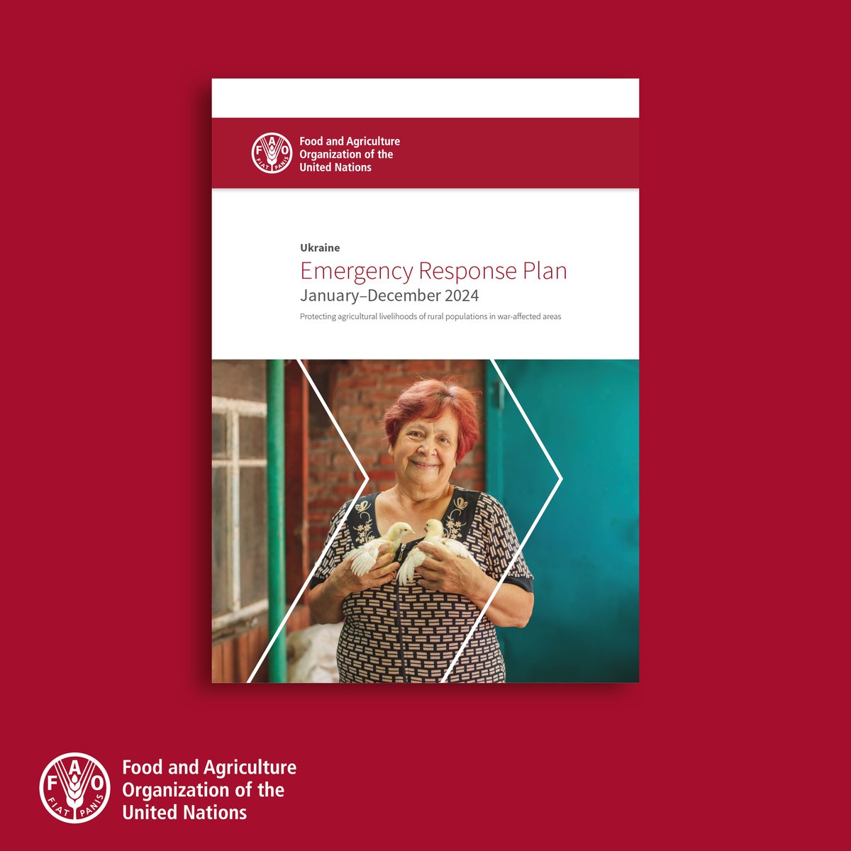 Ukraine: The war continues to exacerbate the vulnerabilities of frontline rural communities. This document provides an overview of the context, @FAO's planned response, expected outcomes, and implementation arrangements of the 2024 ERP. bit.ly/3wCwZ6Y