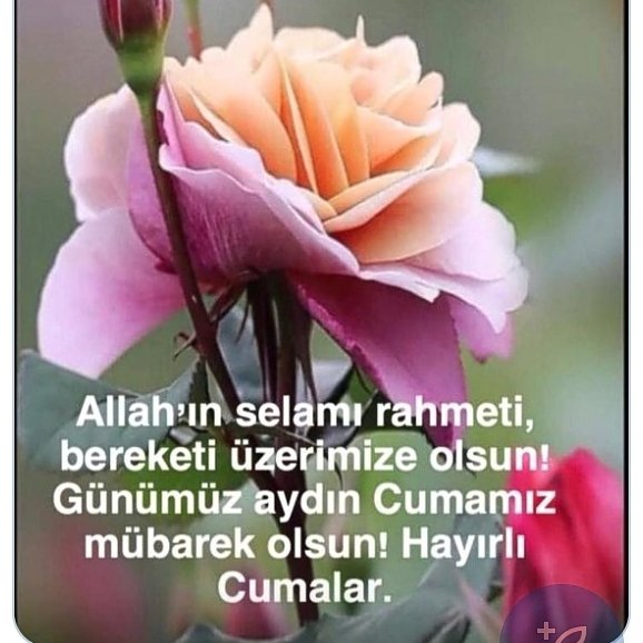 "Ey Rabbim !
       Zatının Celaline ve 
  Saltanatının büyüklügüne 
         Yakışır şekilde 
  Sana  Hamdolsun "

🥀Selam ve dua ile bereketli nurlu Cumalar