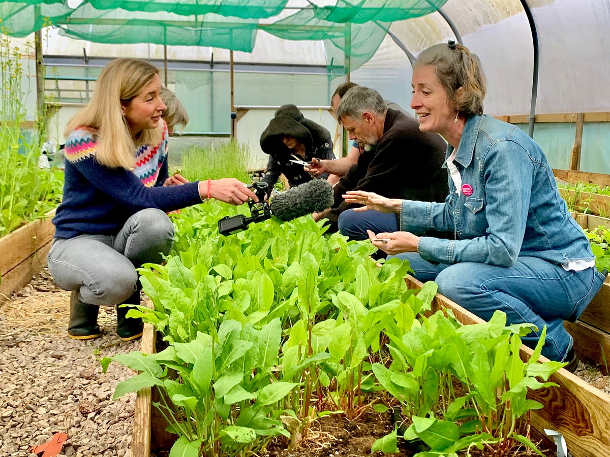 Back on @BBCBreakfast at 0845 📽️ We're on-set at @CardiffSalad with @FoodPlacesUK, talking about all the amazing benefits of growing in public spaces 🥗