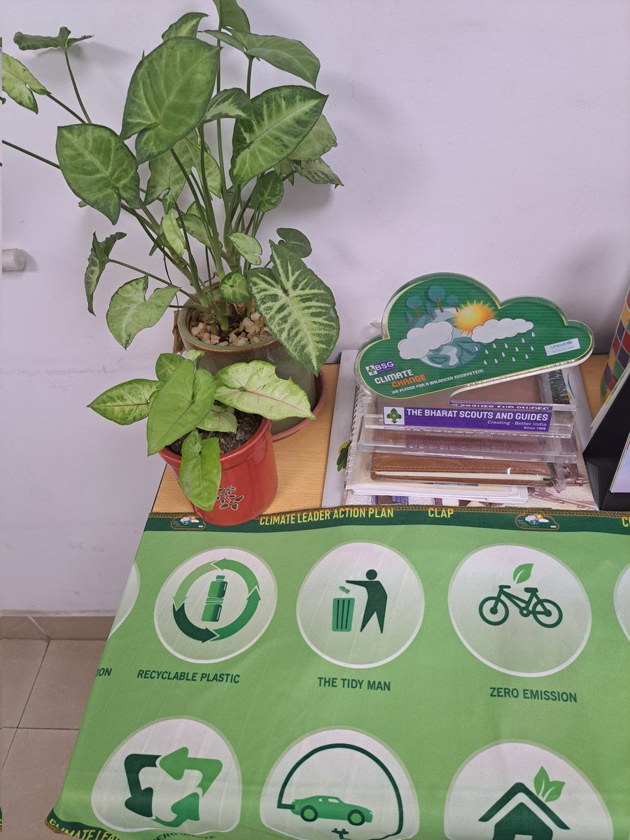 My green corner at work , with messages for a greener world inspired by the work of our youth leaders of #CLAP , #SBC creating social capital of #youth ambassadors with @bsgnhq Bharat Scouts &Guides as our partner @DennisCLarsen @monicamaurya2 #missionLife #SBCworks