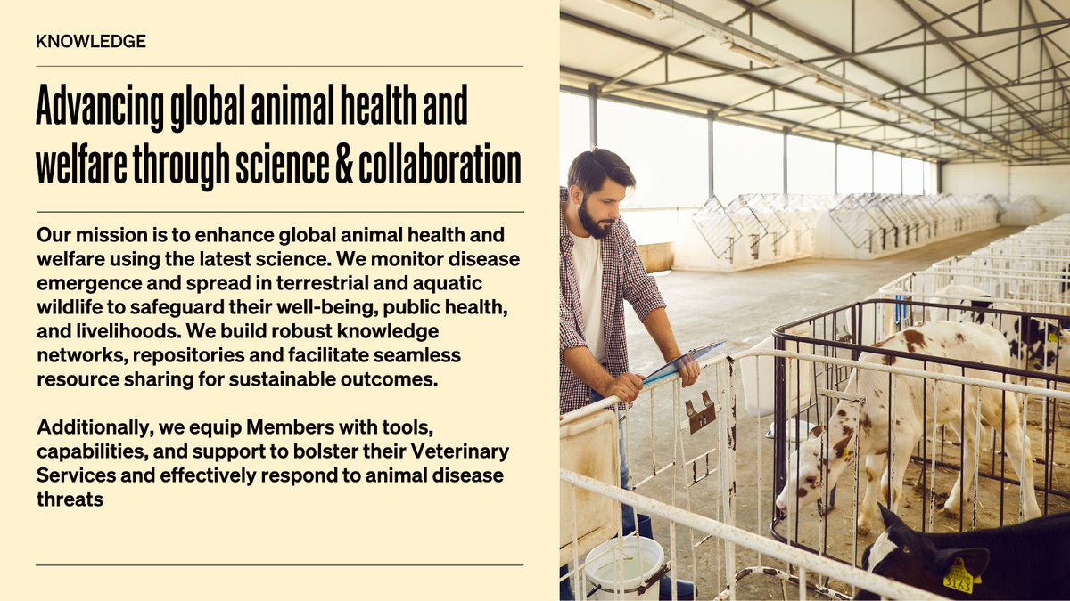 In the #MiddleEast, our purpose is clear: improve #animalhealth & #animalwelfare globally, guided by scientific evidence. Monitoring emerging diseases, we take preemptive action. Collaboration is key - we build networks, knowledge bases & resource-sharing for sustainable results.