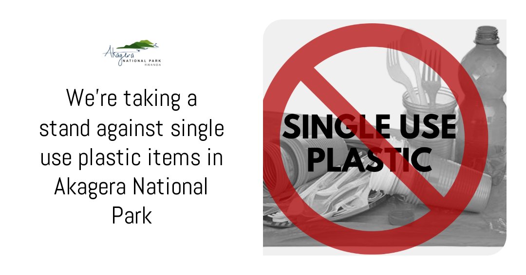 NOTICE: The management of Akagera has decided to ban single-use plastic items within the park premises starting from June 1st, 2024. Visitors are encouraged to support this initiative and help keep Akagera clean and green. Please show your support by sharing this news. 1/2
