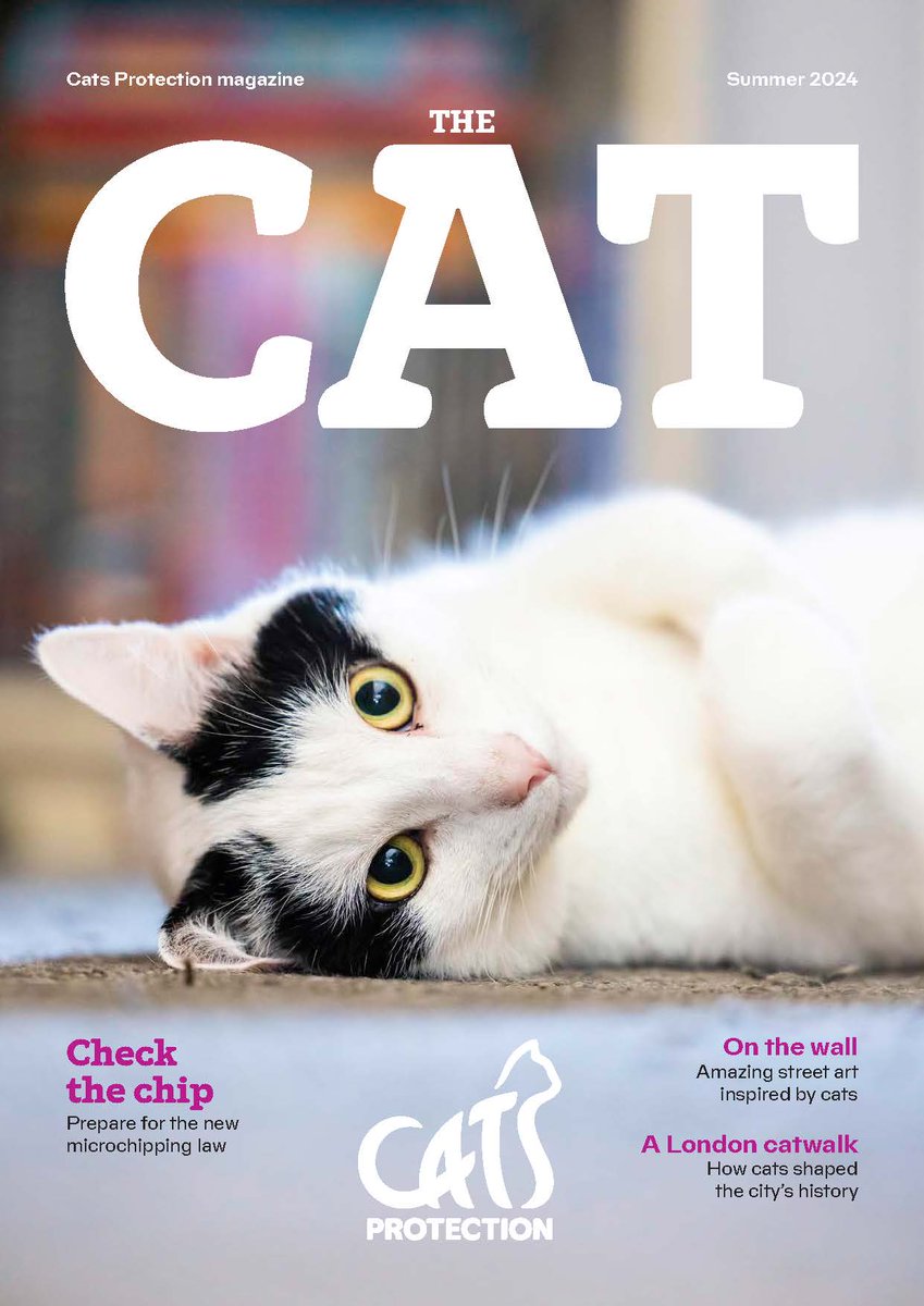 In our summer issue we get to grips with the new microchipping law, discover spectacular cat-themed street art around the world and take a cat tour of London. Plus, meet our gorgeous cover star, Jacob! Subscribe: bit.ly/thecatmagazine @CatsProtection #CatsOfTwitter #CatsOfX