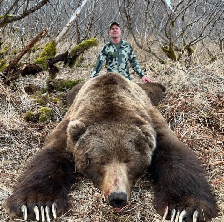 An auction was held by an outfit called Elite Hunt Club to ‘harvest’ this magnificent Kodiak Brown Bear. Note the concerning narcissistic look on the trophy hunter’s face! #BanTrophyHunting NOW!!