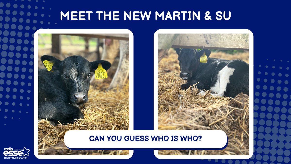 Left must be Mr. Day right? 🐄