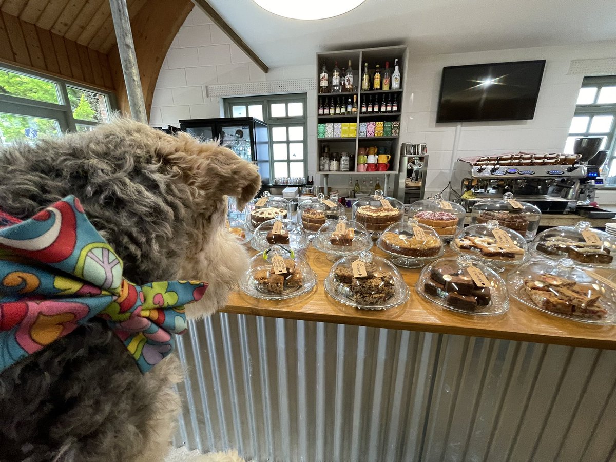 Oh my… Cake! 😋🐾😃 @ChessellPottery