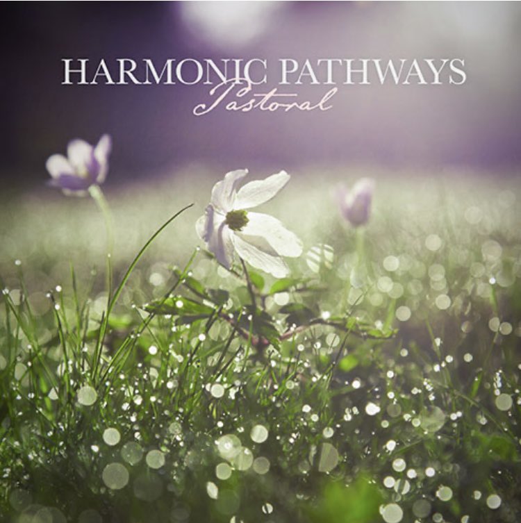Album of the Day

HARMONIC PATHWAYS - PASTORAL

Hear it now
tinyurl.com/5b9p2zen

@signal_alchemy 
signalalchemy.com

Also recommended:
Domy Catellano - A Road To Somewhere
tinyurl.com/54jjfwvx

#ambient #spotify #metricsystem1981 #signalalchemy #harmonicpathways