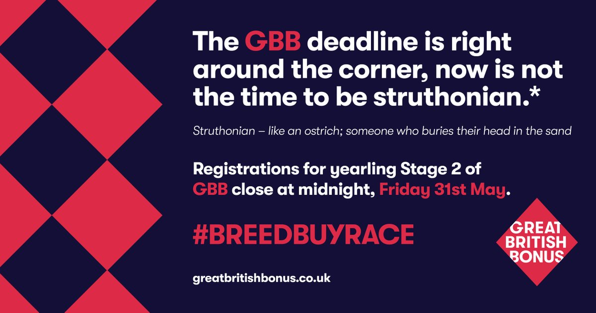 𝐃𝗼𝗻'𝒕 𝐛𝑒 𝒂 𝐬𝙩𝗿𝑢𝘵𝘩𝗼𝘯𝑖𝑎𝒏 Register your 2023 Yearling filly for Stage 2 by 𝗙𝗿𝗶𝗱𝗮𝘆 𝟯𝟭𝘀𝘁 𝗠𝗮𝘆 Register now: greatbritishbonus.co.uk/gbb/register/h… @thetba_gb @rpbloodstock @bloodstocknews