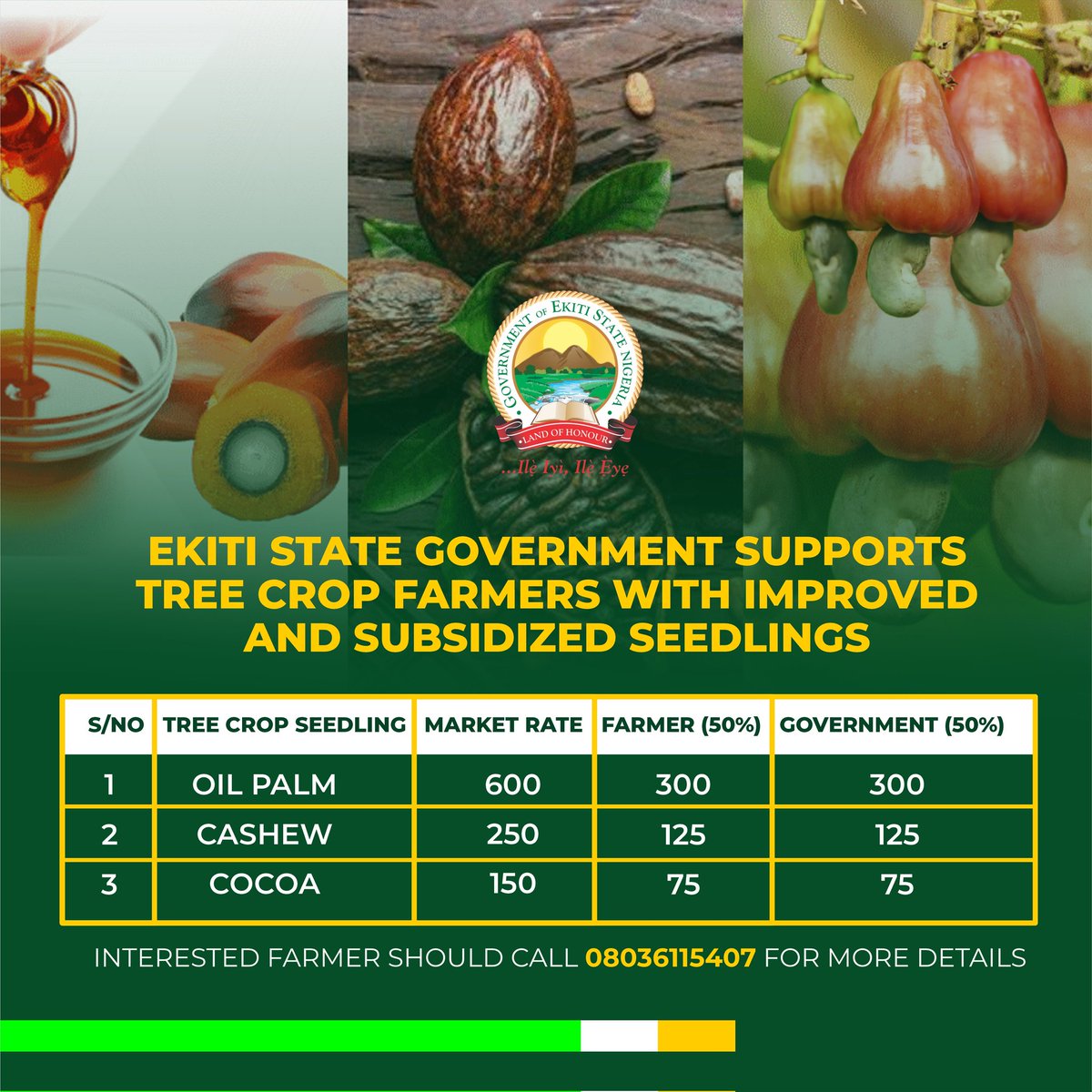 Ekiti State Government Approves 50% Subsidy for Improved Tree Crop Seedlings Governor Biodun Oyebanji has authorised a 50% subsidy on oil palm, cocoa, and cashew seedlings for distribution to farmers in Ekiti State this planting season. The initiative aims to revitalise tree