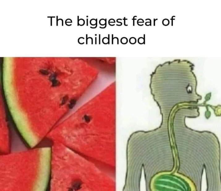 The biggest fear of childhood😂
#watermelon #Summervibe