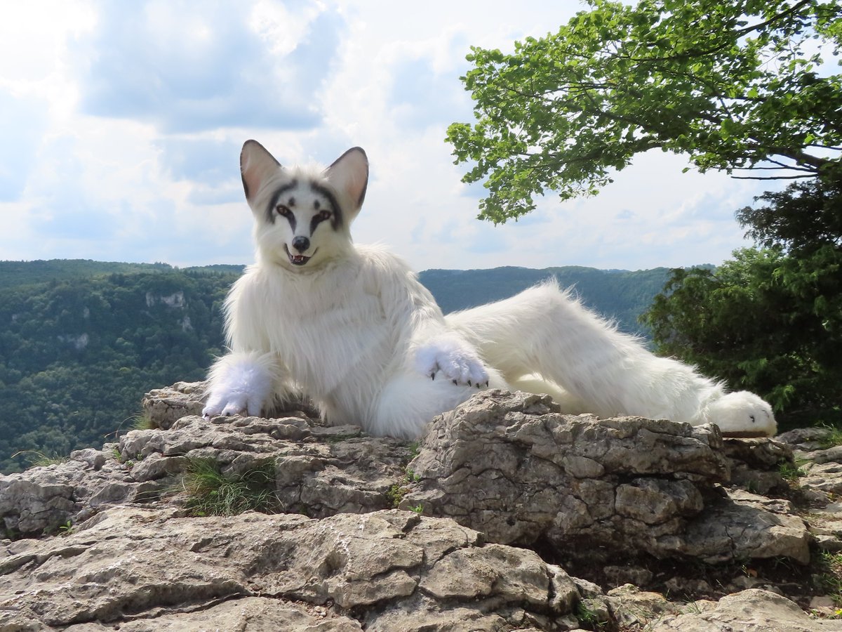 Happy #FursuitFriday in my <a href="/Kitavos_DE/">Kitavos 🇩🇪 🔜 BFD 🇩🇪</a> suit

✂️ <a href="/yurei_kitsune/">Yurei VF 2023</a>
📸 <a href="/Maxi_Foxy/">Maximoh Foxy</a>
🗓 26.06.2021
🏰 #Burgruine #Reußenstein
🏙 #Neidlingen 🇩🇪

#Furry #Fursuit #Wolf #Burg #Schwäbische #Alb #Fuchs #Fox #Marble #Berk #BerkWolf #Kitavos

Follow my Berk-News (TG):
t.me/Berk_News