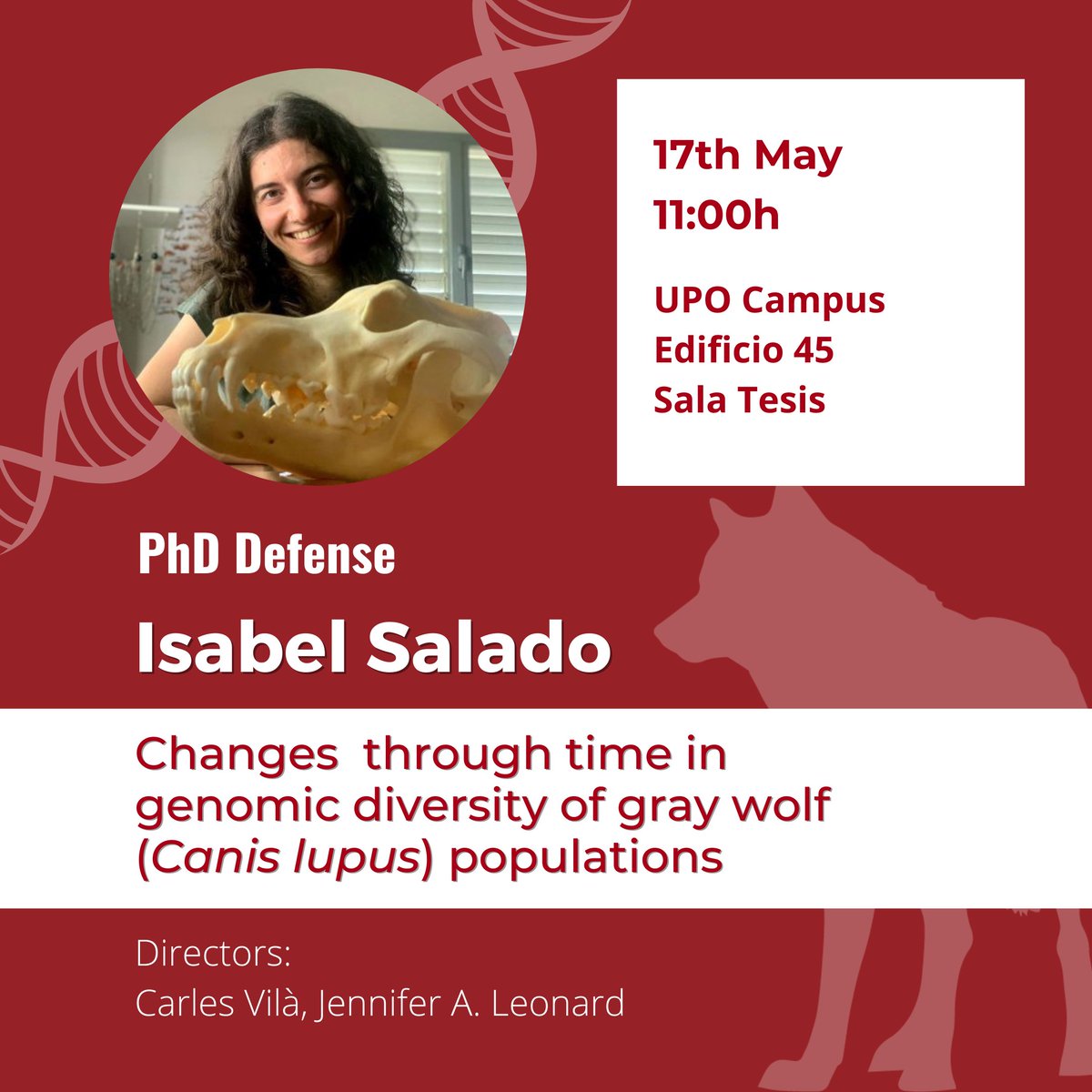 Today @isabel_salado will be defending her PhD thesis at @pablodeolavide 🐺🧬 An excellent scientist with a promising career ahead! @consevol @carles_vila_ebd @JenBiologist