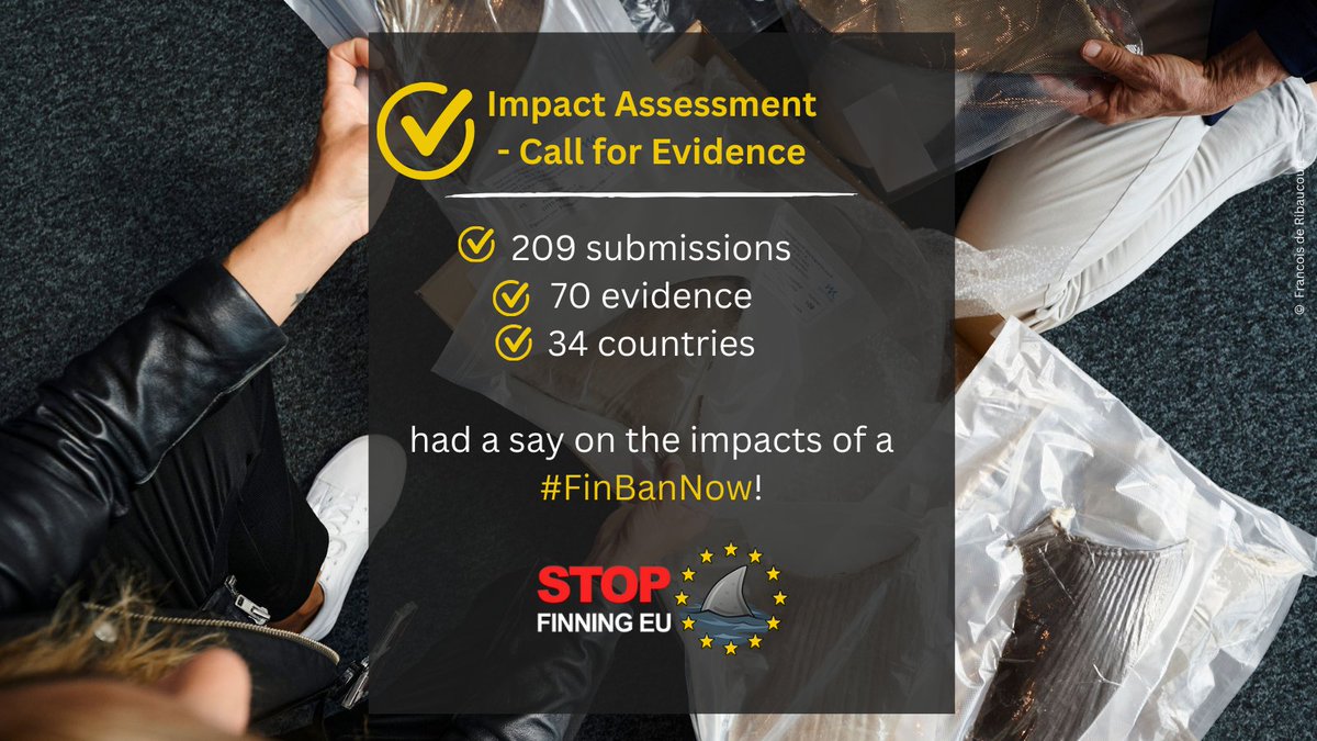 Milestone reached ☑️: Yesterday the first step of the #StopFinningEU Impact Assessment – the Call for Evidence for a #FinBanNow closed at midnight. 🇪🇺🦈 Thanks to everyone who used this unique opportunity to have a say for #sharks 🙏 bit.ly/3IcoilQ