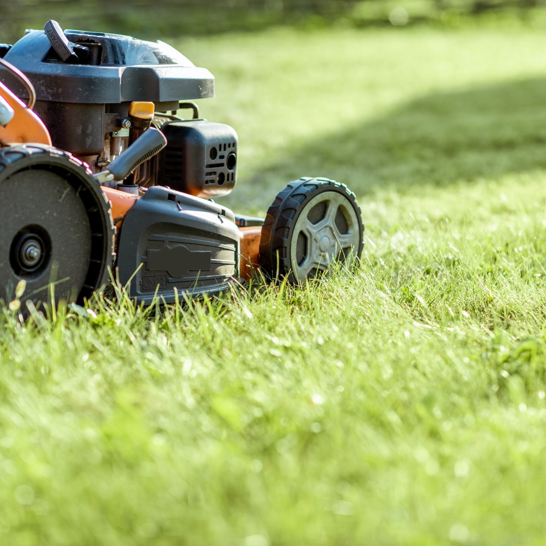 TopsoilDirect's tweet image. Get your lawn ready for summer with our expert tips! From soil improvement to regular watering, we've got you covered. Check out our article for more: gardentopsoildirect.co.uk/gardening-tips… #GardenTopsoilDirect #LawnCare #GardeningTips