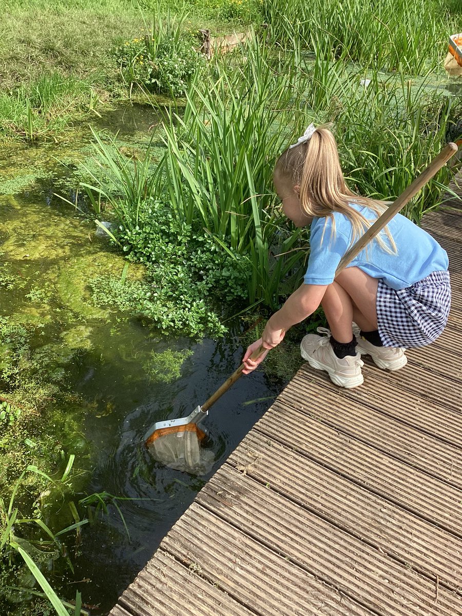 Ogwr class have moved forward with their Walk on the Wild Side Inquiry at Porthkerry. Children have selected the area that they wanted to tune into. We loved our Pond dipping workshop with Ranger Jake 🐟🐸🐳 #inquirybasedlearning 1/2