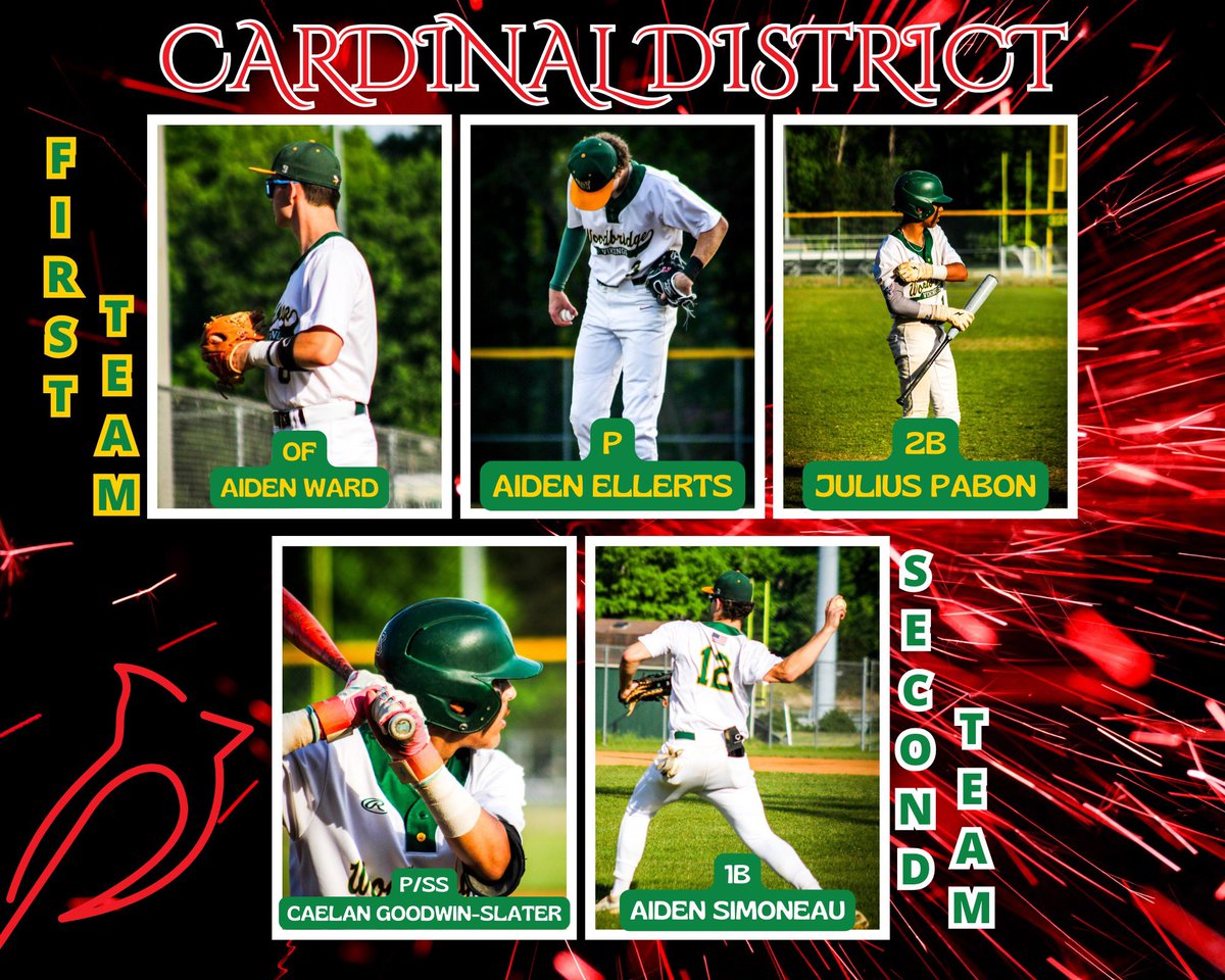 Your 2024 Cardinal District First and Second Team Vikings! 🔰