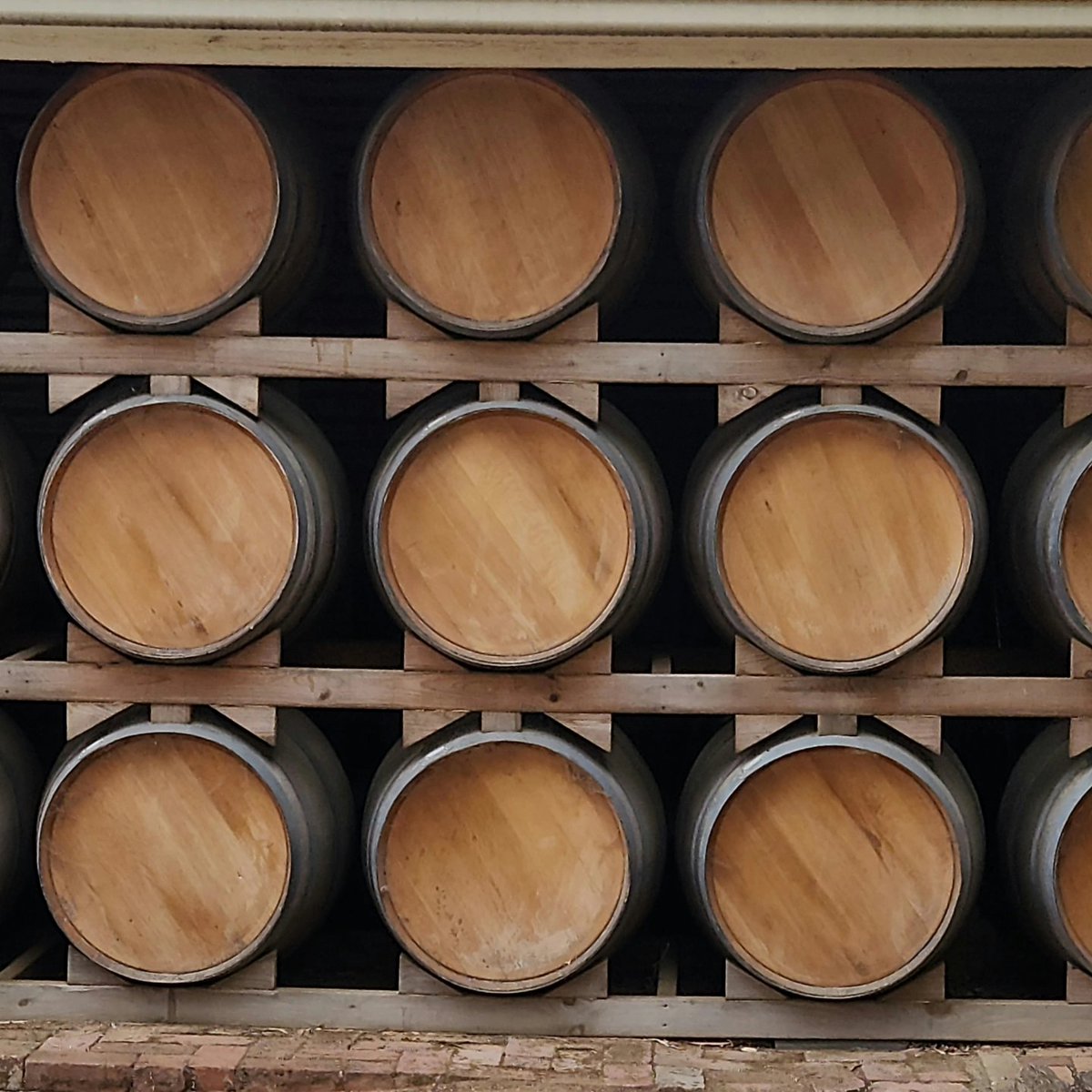 AffordableCS's tweet image. What a fantastic morning hosting amazing guests for a special event at Langhorne Creek! The vineyards' beauty and shared joy made it unforgettable. 🌿🍷 #LanghorneCreek #SpecialEvent #WineryLife #GreatCompany