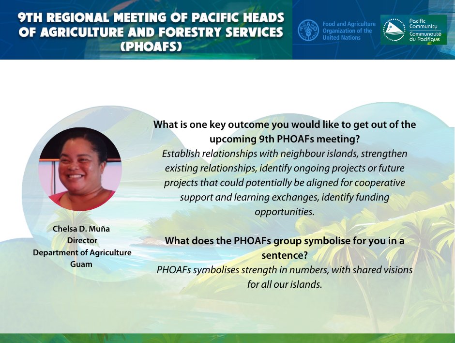 #PacificAgriculture | Today is the final day of the #PHOAFS, ending with energising discussions on how we can shape a sustainable path for our forests and agriculture 🌲. 🌱Stay tuned for more updates on #SustainableAgriculture #PacificAgriculture #PacificForests @FAO #PHOAFS9