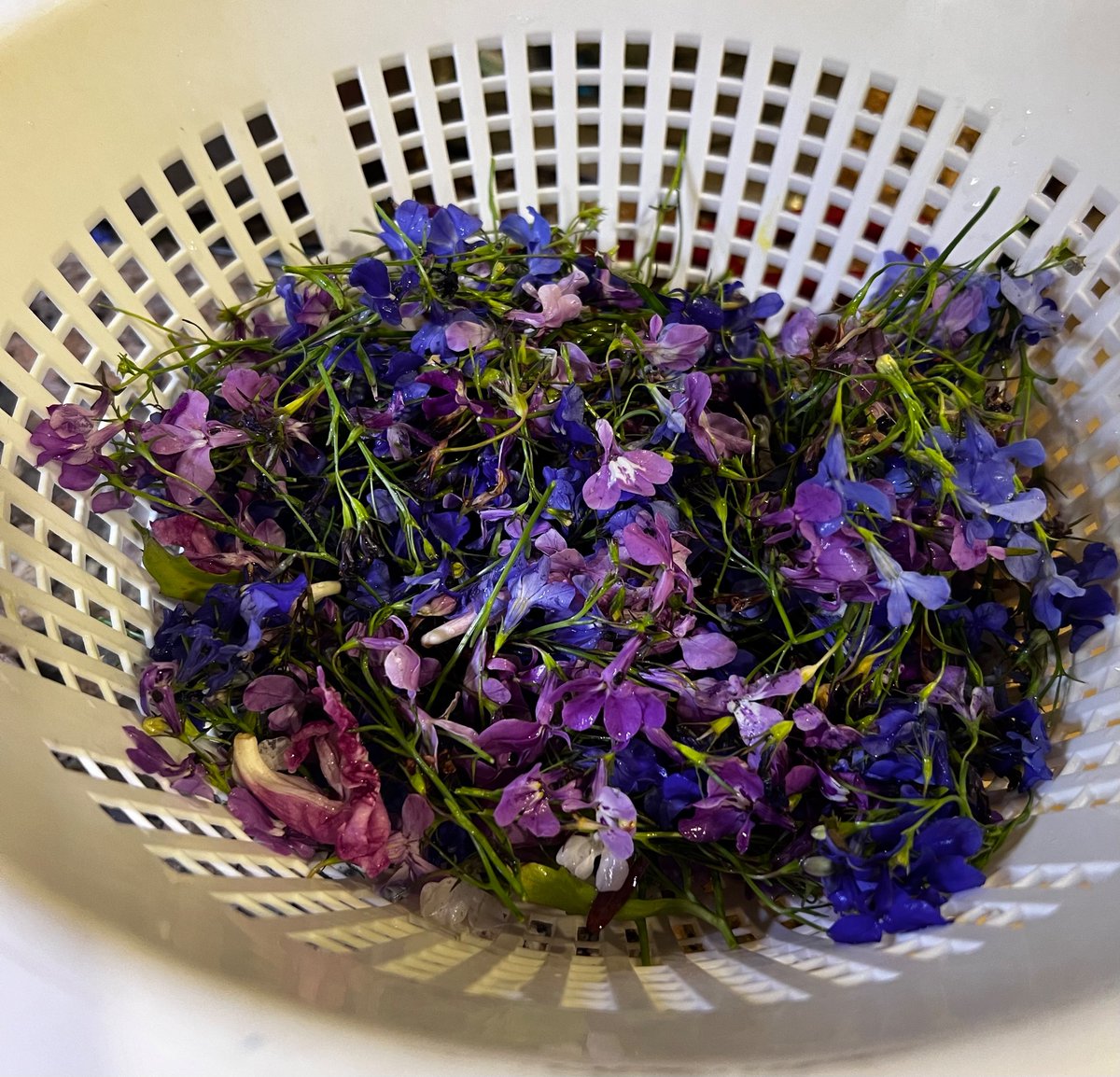 Edible flowers!

What should I do with them? I’m interested in making mocktails.

I’m growing borage, to make candy!