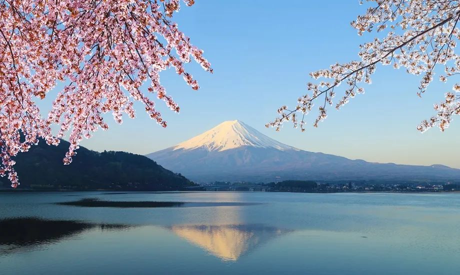 Marriott International will be making its foray into the midscale hospitality space in Japan, with the conversion of 14 acquired Unizo hotels into Four Points Express by Sheraton. #events #meetings #conventions #Japan #Marriott #hotels Read more here: buff.ly/3UHLbn5