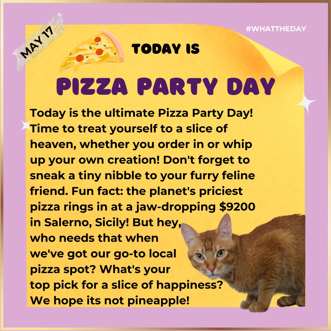 Who doesn't love a good thin crust?

#catnip #catmeme #cattoys #catsofinstagram #madeinindia #vocalforlocal #cats #pettoys #toy  #meow #catniphigh #catniptoy #catsoncatnip #dehradun #pets  #Indian #India #pizza #funny #indiancat #hrikutoys #hrikucattoys