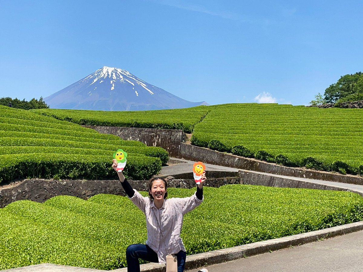 本日は静岡県富士市の幼稚園さんで上演でした！

帰りに園長先生から　#大淵笹場　の茶畑を紹介していただき、行ってみるとなんとも雄大な景色が✨

空が広くて、風が吹き抜けて、緑がキレイで、とても気持ちよかったです😊子どもたちからもらった「ありがとう」とぱしゃり📷お茶うまーい🍵