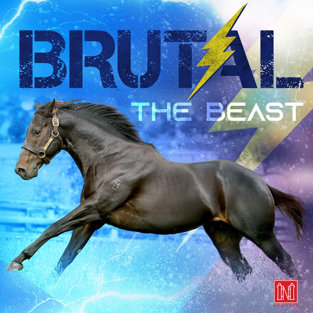 More promising 2YOs by #TheBeast ⚡️

Brutal Love ⚡️❤️ & Aged Care ⚡️ fight it out @sconeraceclub to place, running 3rd & 4th respectively in the @inglis_sales 2YO Challenge‼️

Looking forward to seeing more from these sons of Brutal ⚡️

#ItsPossible